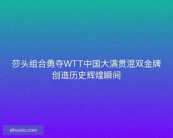 莎头组合勇夺WTT中国大满贯混双金牌创造历史辉煌瞬间